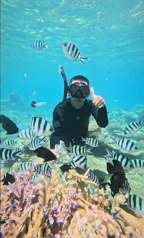 Accueil karimunjawa4